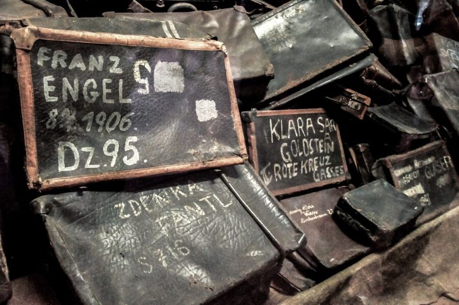Krakow: Auschwitz-Birkenau Guided Tour Pickup/Lunch Options - Who should choose this Auschwitz day trip?