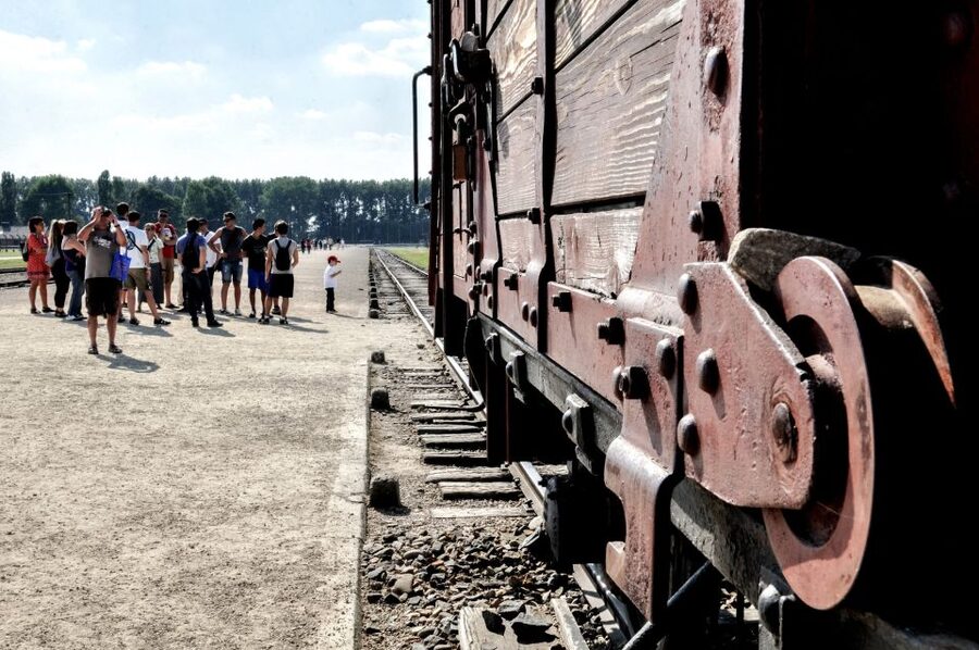 Krakow: Auschwitz-Birkenau Guided Tour Pickup/Lunch Options - Breaks, food, and the lunchbox choice