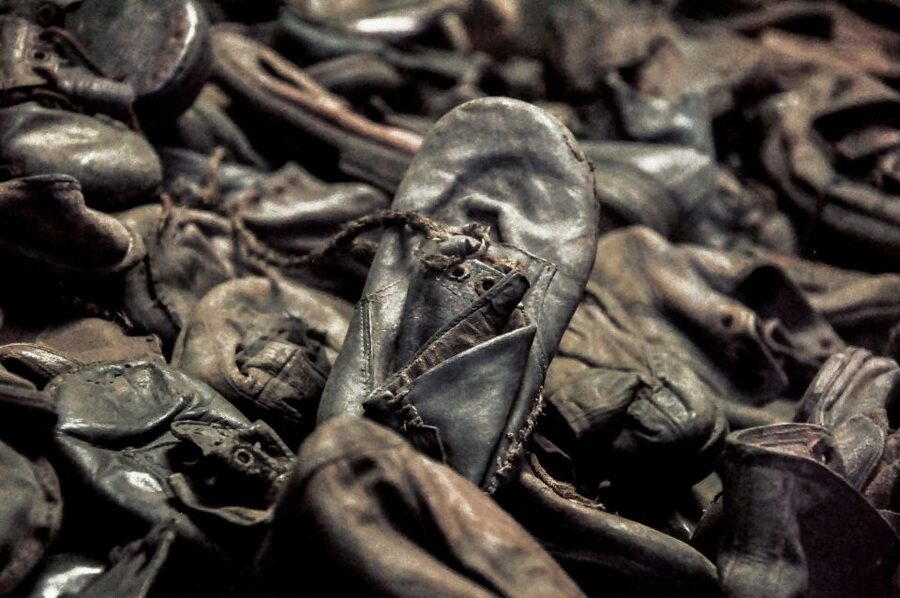 Krakow: Auschwitz-Birkenau Guided Tour Pickup/Lunch Options - How the guide shapes the visit