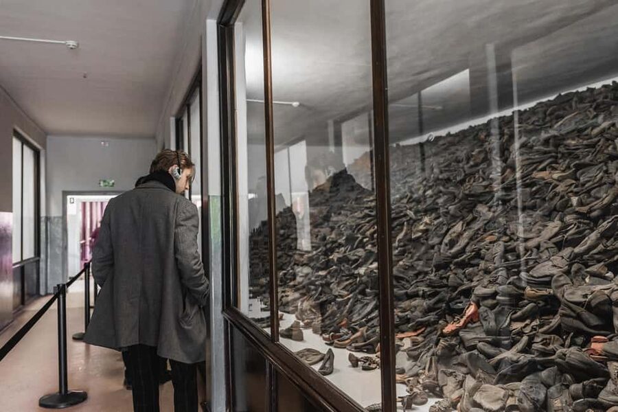 Krakow: Auschwitz-Birkenau Guided Tour with Transportation - Price, group size, and overall value