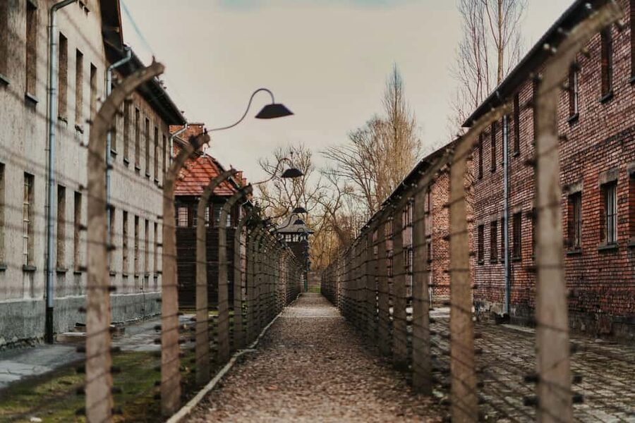 Krakow: Auschwitz-Birkenau Guided Tour with Transportation - Pickup in Krakow and the early start