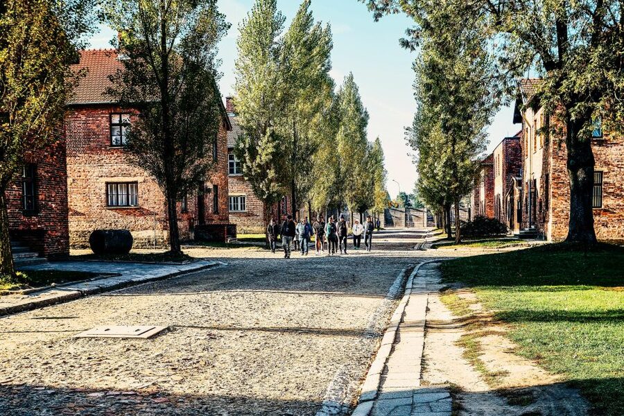 Krakow: Auschwitz-Birkenau Live Guided Tour & Hotel Pickup - What the $22 price really buys you