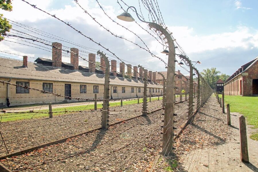 Krakow: Auschwitz Birkenau Museum Guided Tour with Pickup - Why this Krakow day trip is worth considering