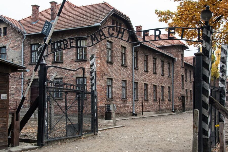 Krakow: Auschwitz Birkenau Museum Guided Tour with Pickup - A guided visit, not a casual sightseeing tour