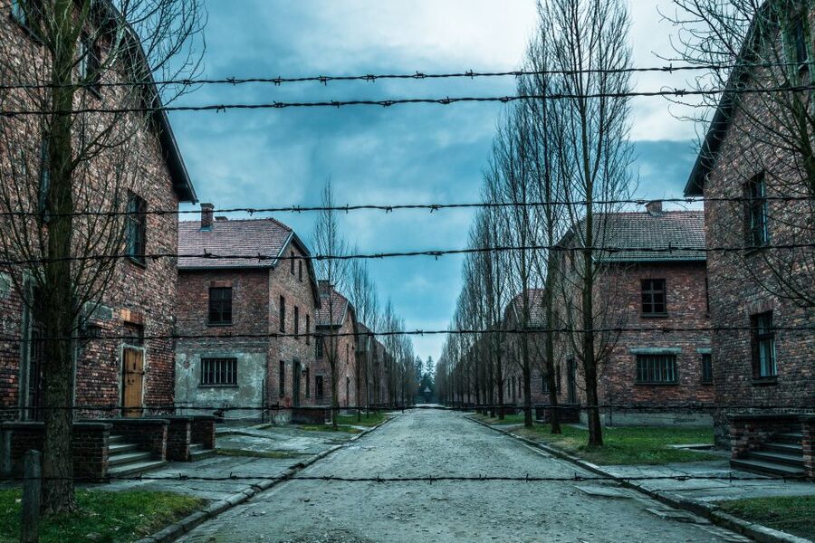 Kraków: Auschwitz-Birkenau & Salt Mine Full-Day Guided Tour - Birkenau and the scale of the crimes