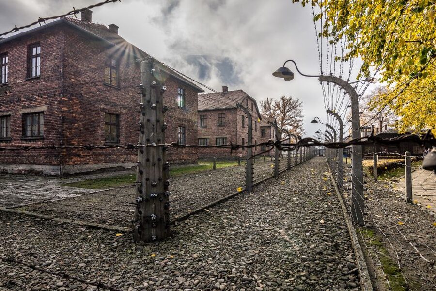 Kraków: Auschwitz-Birkenau & Salt Mine Full-Day Guided Tour - Timing, group rhythm, and comfort