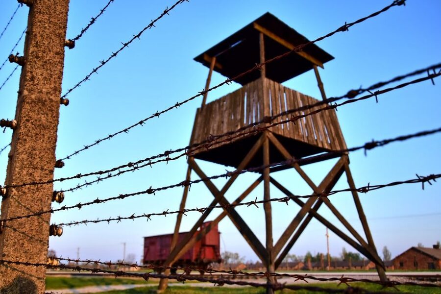 Kraków: Auschwitz-Birkenau & Salt Mine Full-Day Guided Tour - What to bring and what not to bring