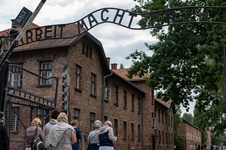 Krakow: Auschwitz-Birkenau Tour Limited to 15 Visitors - Who should choose this tour?