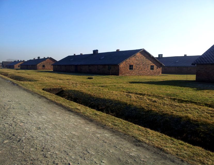 Krakow: Auschwitz-Birkenau & Wieliczka Salt Mine with Lunch - Who should book this day trip?
