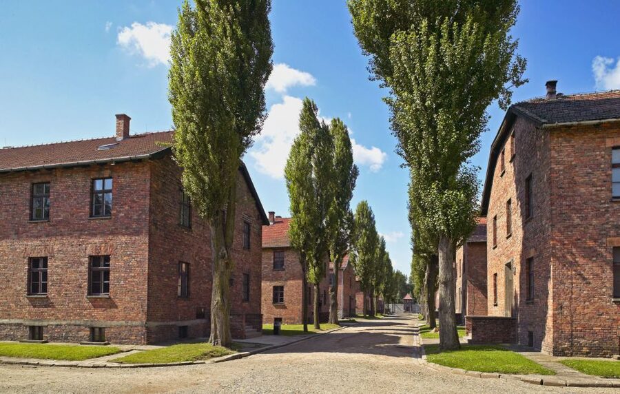 Krakow: Auschwitz Guided Tour with Optional Hotel Pickup - Why this Auschwitz tour is worth your time