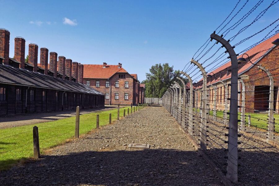 Krakow: Auschwitz Guided Tour with Optional Hotel Pickup - Timing, crowds, and the pace of the day