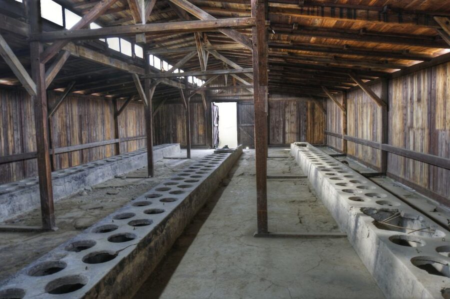 Krakow: Auschwitz Guided Tour with Pickup and Optional Lunch - Practical advice for a more comfortable visit