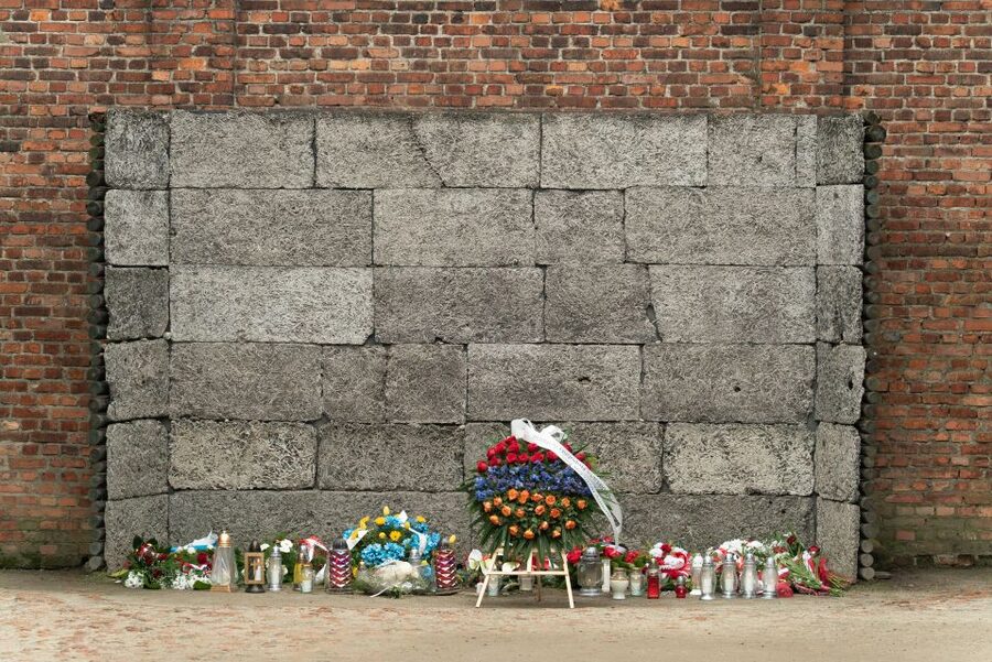 Krakow: Auschwitz Guided Tour with Pickup and Optional Lunch - Pickup, drop-off, and the value of convenience