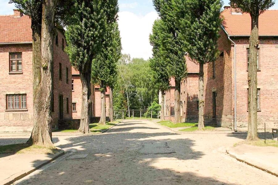 Krakow: Auschwitz & Wieliczka Salt Mine Guided Day Tour - Guides, drivers, and group management