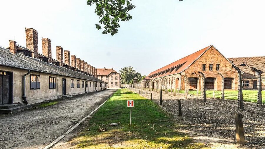 Krakow: Full-Day Auschwitz-Birkenau & Salt Mine Guided Tour - Timing, comfort, and the real cost of the day