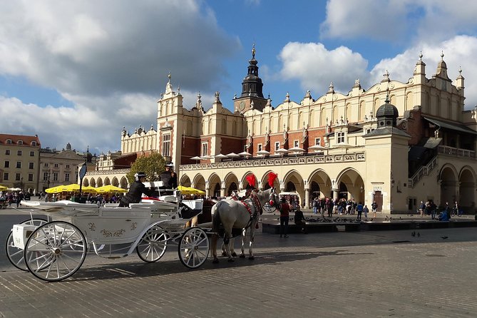 Krakow - Full Day Tour from Warsaw by private car - What the private guide adds