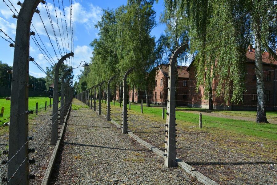 Krakow: Guided Auschwitz Birkenau Tour - The guides and the tone of the visit