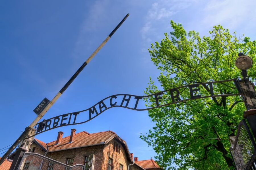 Krakow: Guided Auschwitz Birkenau Tour - Timing, queues, and the value of skip-the-line entry
