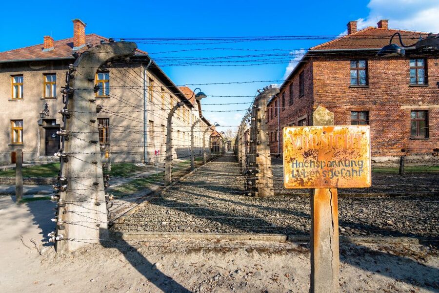 Krakow: Guided Auschwitz Birkenau Tour - Is $69 good value?