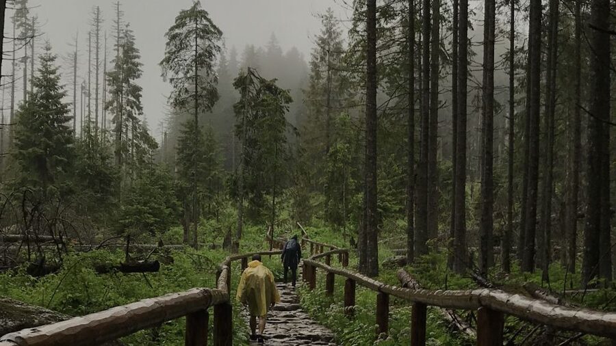 Krakow: Hiking Adventure in Tatra Mountains & Thermal Baths - The drive toward Zakopane and the Tatra Mountains