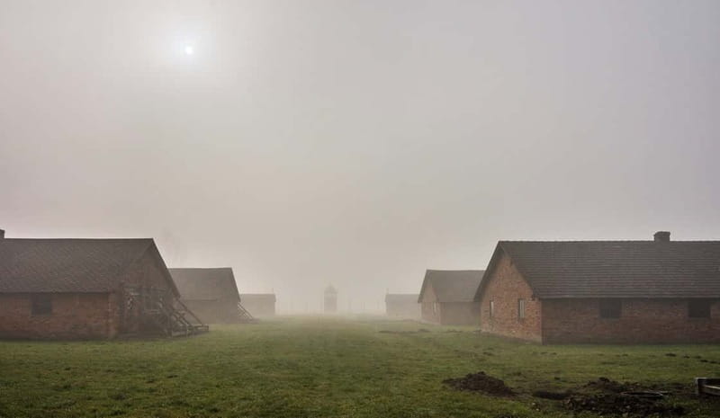 Krakow: Last Minute Auschwitz-Birkenau Guided Tour - The original buildings and difficult exhibits