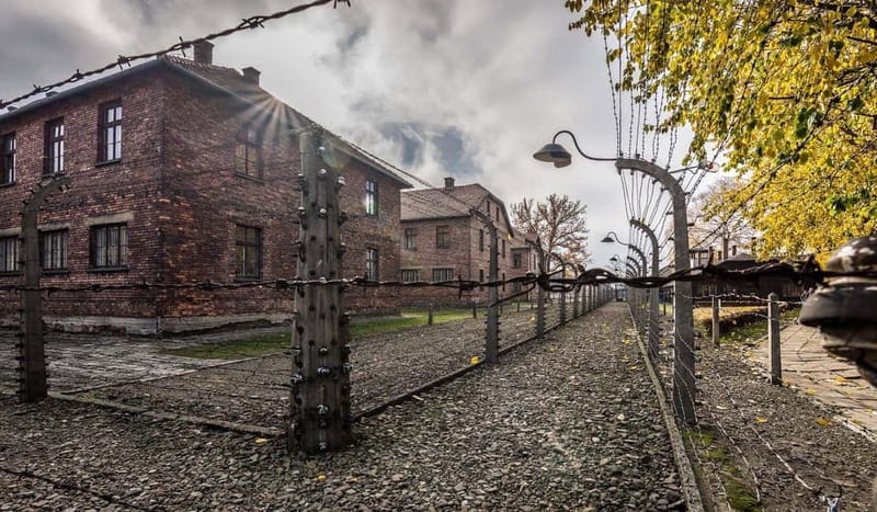 Krakow: Last Minute Auschwitz-Birkenau Guided Tour - The short transfer to Birkenau
