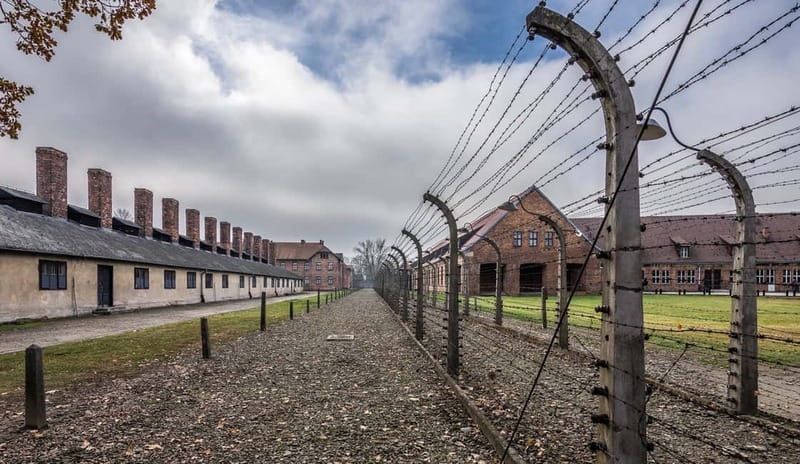 Krakow: Last Minute Auschwitz-Birkenau Guided Tour - A respectful guide can shape the whole day