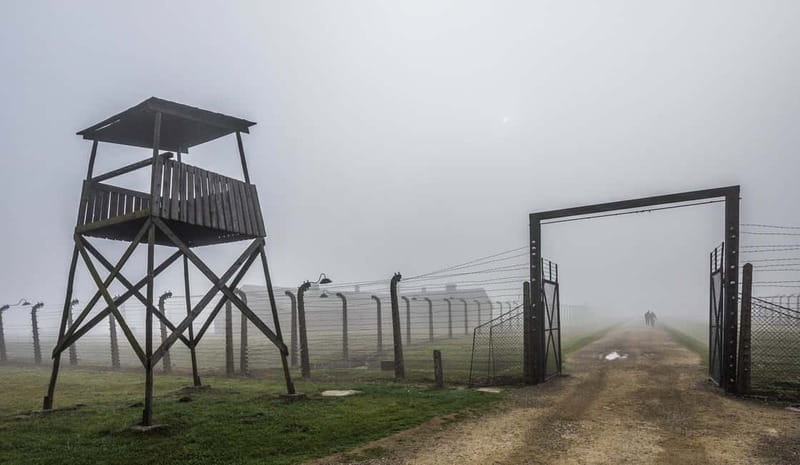 Krakow: Last Minute Auschwitz-Birkenau Guided Tour - Who should book this Krakow day trip?