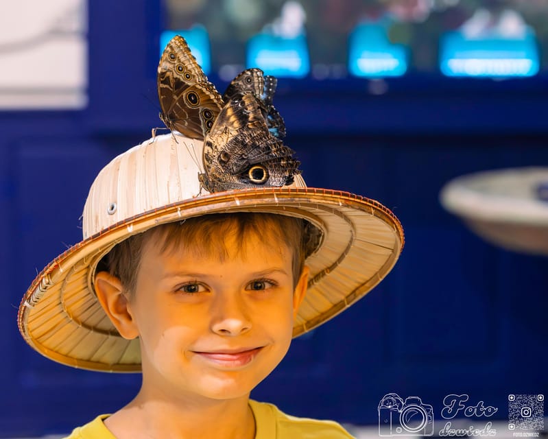 Krakow: Living Butterflies Museum ''House Of Attractions'' - Finding the museum at 48 Grodzka Street