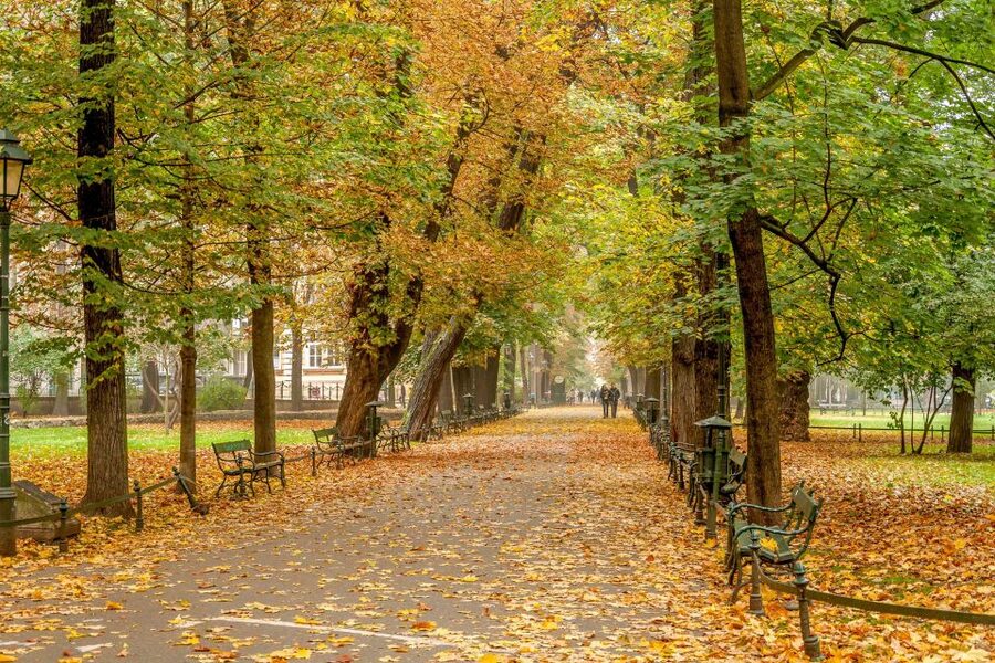 Krakow: Old Town Guided Walking Tour - Wawel Hill, the castle, and the Dragon’s Den