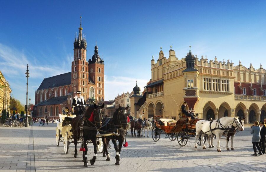Krakow: Old Town Private Guided Walking Tour - Pace, Languages, and Practical Comfort