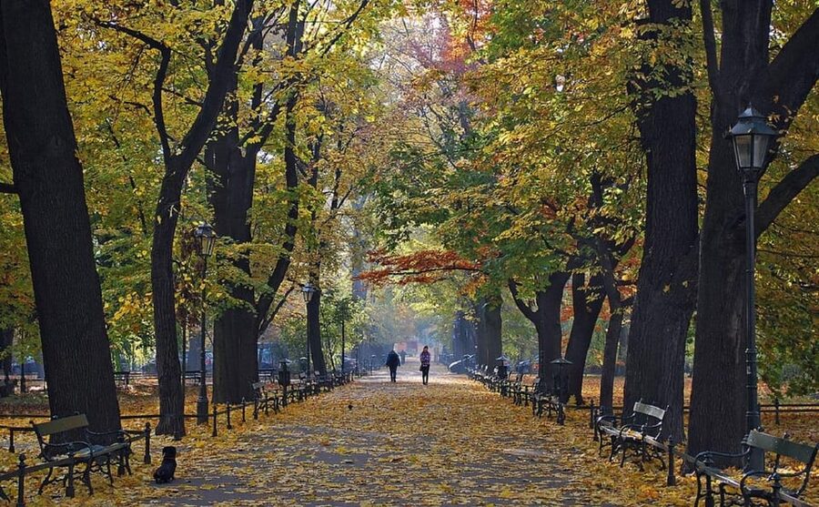 Krakow: Old Town "Royal Route" Walking Tour - Starting among Planty park and Old Town streets