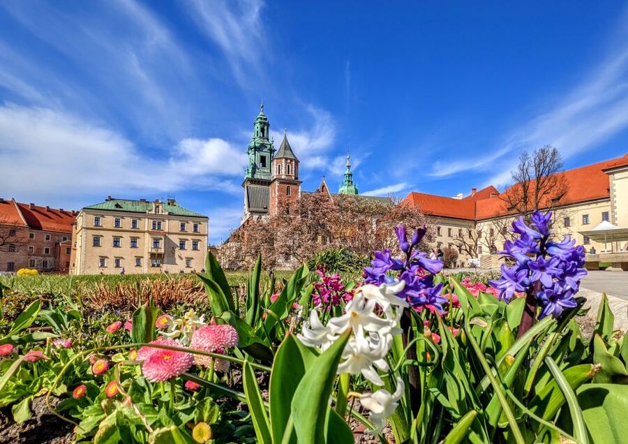 Kraków: Old Town & Wawel Castle Walking Tour in English - Pace, breaks, and group comfort