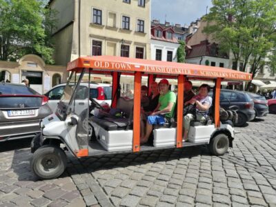 Private Sightseeing Tour by Electric Car