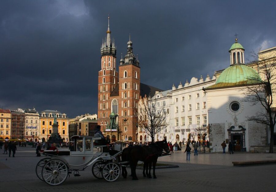 Krakow: Skip-the-Line Wawel Castle & Old Town Guided Tour - Who should book this Krakow tour?