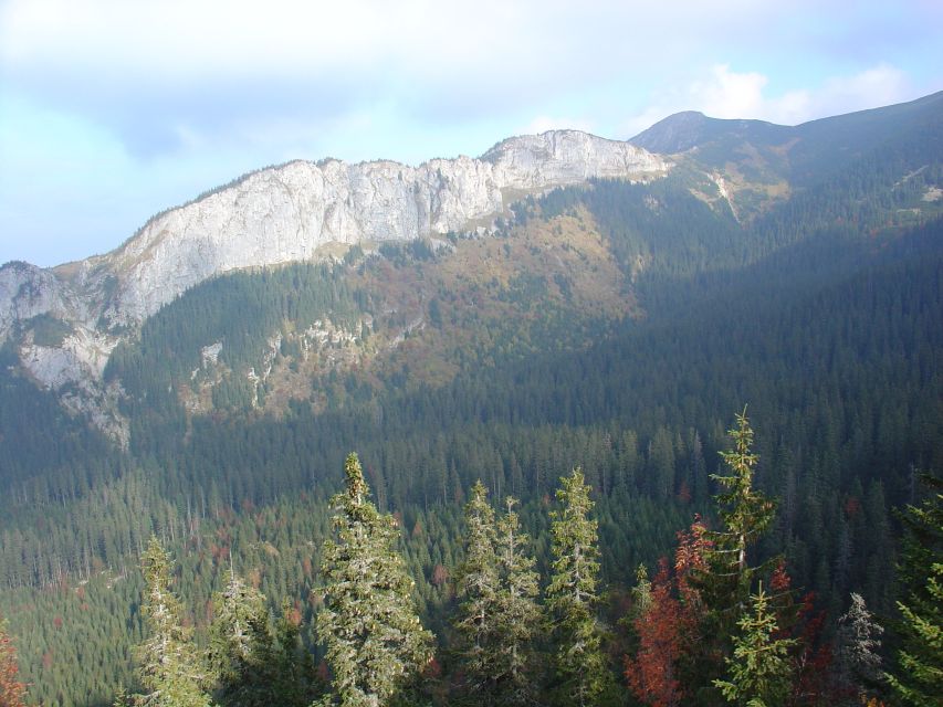 Krakow: Tatra Mountains and Zakopane Full-Day Private Tour - Chocholow: wooden homes and local craft