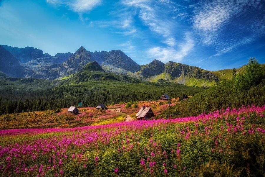 Krakow: Tatra Mountains and Zakopane Full-Day Private Tour - Hotel pickup and the private ride south