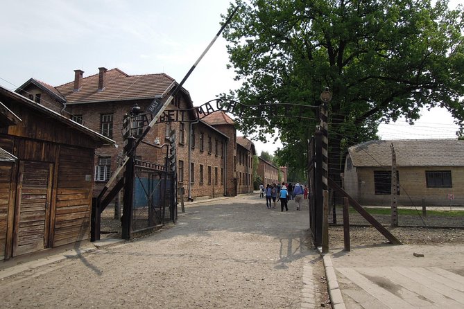Krakow to Auschwitz Birkenau Guided Tour with Ticket and Transfer - The skip-the-line promise needs scrutiny