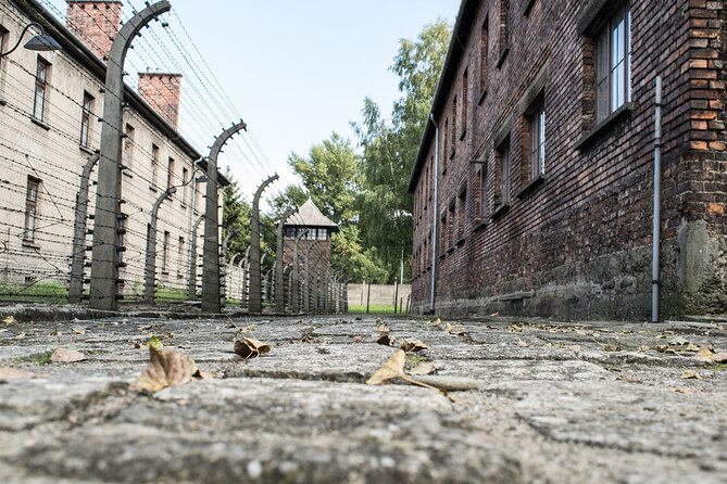 Krakow to Auschwitz Birkenau Guided Tour with Ticket and Transfer - Auschwitz I, about two hours of guided history