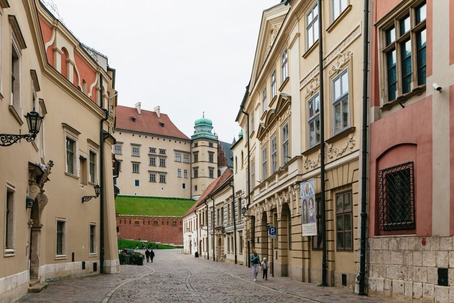 Krakow: Wawel Royal Hill with Optional Castle and Cathedral - Guide quality, pace, and group feel
