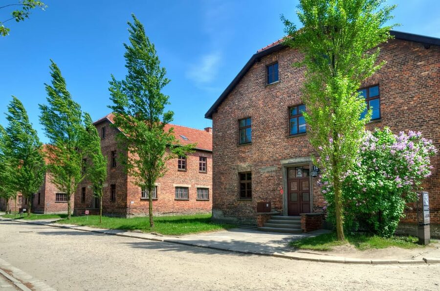 Krakow: Wieliczka Salt Mine and Auschwitz-Birkenau Tour - What Auschwitz-Birkenau asks you to see