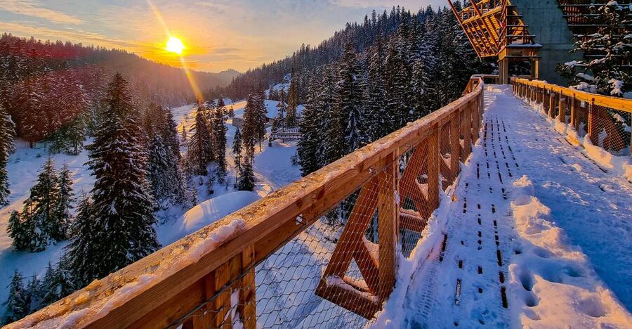 Krakow: Zakopane, Thermal Baths and Gorce Park Treetop Walk - Why this Krakow mountain day trip works