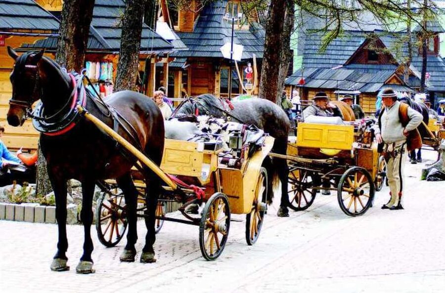 KRAKOW ZAKOPANE TOUR CABLE CAR THERMAL BATHS & HOTEL PICKUP - Grilling oscypek over an open fire