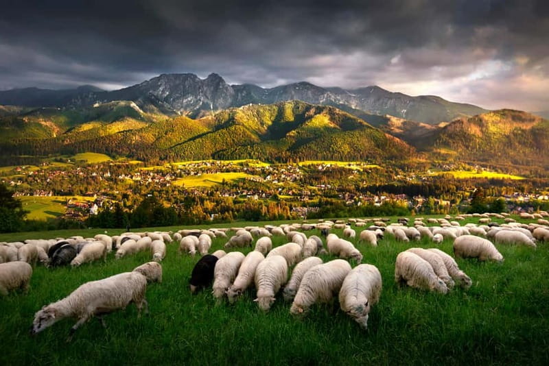 Krakow: Zakopane Trip with Thermal Pools & Hotel Pick-up - Key points to know before you book