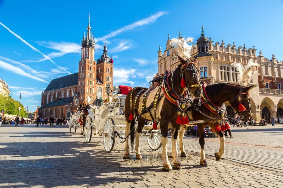 Krakow: Zoo Tour with Private Transport and Tickets - Three hours on foot: the real pacing of the visit