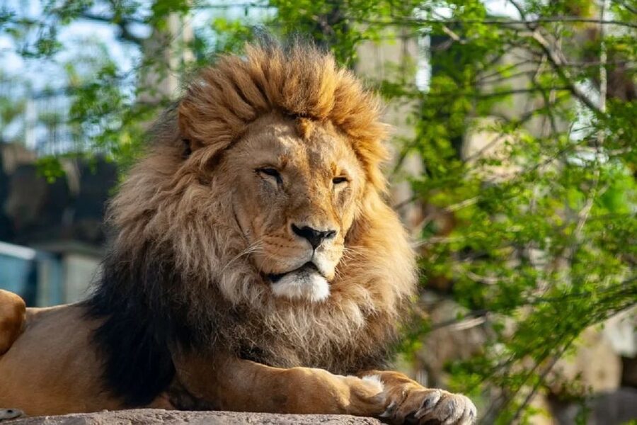 Krakow: Zoo Tour with Private Transport and Tickets - Is $94 per person a fair price?