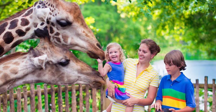 Krakow: Zoo Tour with Private Transport and Tickets - Booking flexibility and practical details