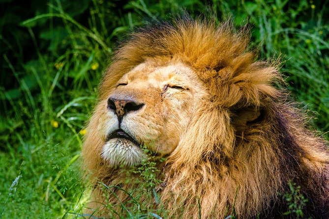 Krakow: Zoo with Hotel Transfer - The 25-minute ride from your hotel