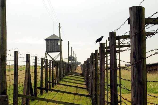 Lublin and Majdanek Small Group Tour from Warsaw with Lunch - Majdanek, the serious heart of the day