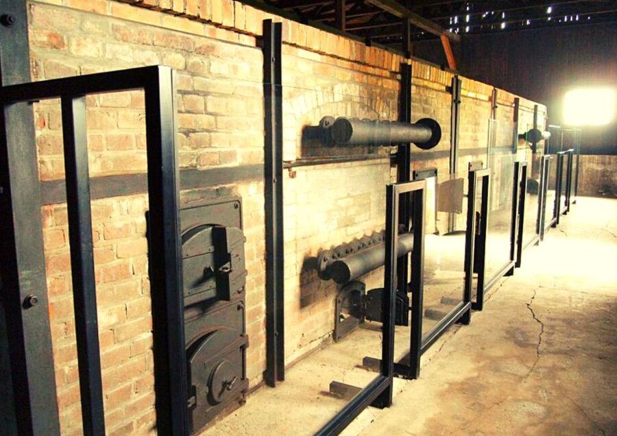 Lublin & Majdanek Small-Group Tour from Warsaw with Lunch - Should you book it?